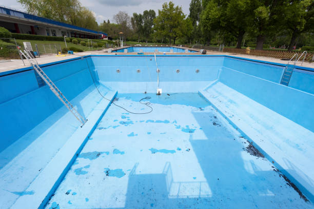 Best Local water damage restoration  in Somerset, WI