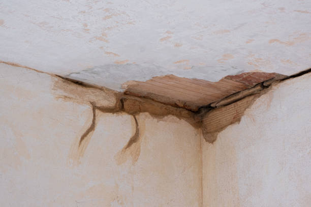 Best Flood damage cleanup  in Somerset, WI