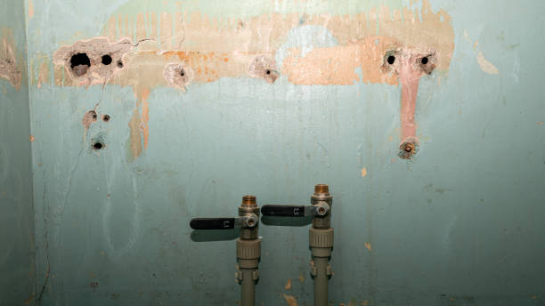 Best Residential water damage restoration  in Somerset, WI